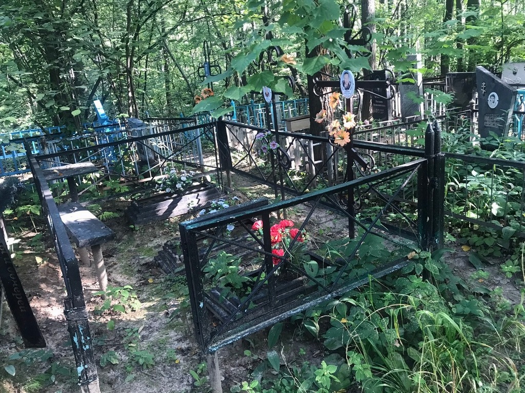Дурнов Николай Максимович