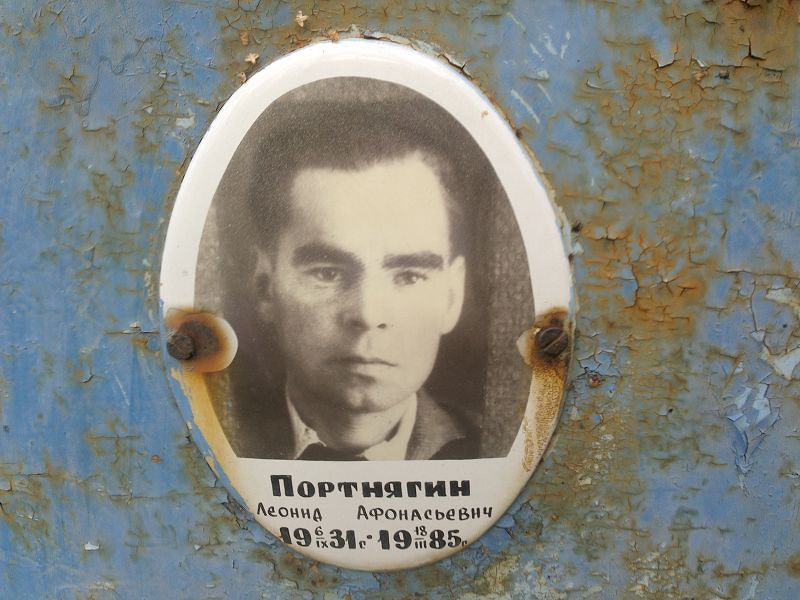 Портнягин