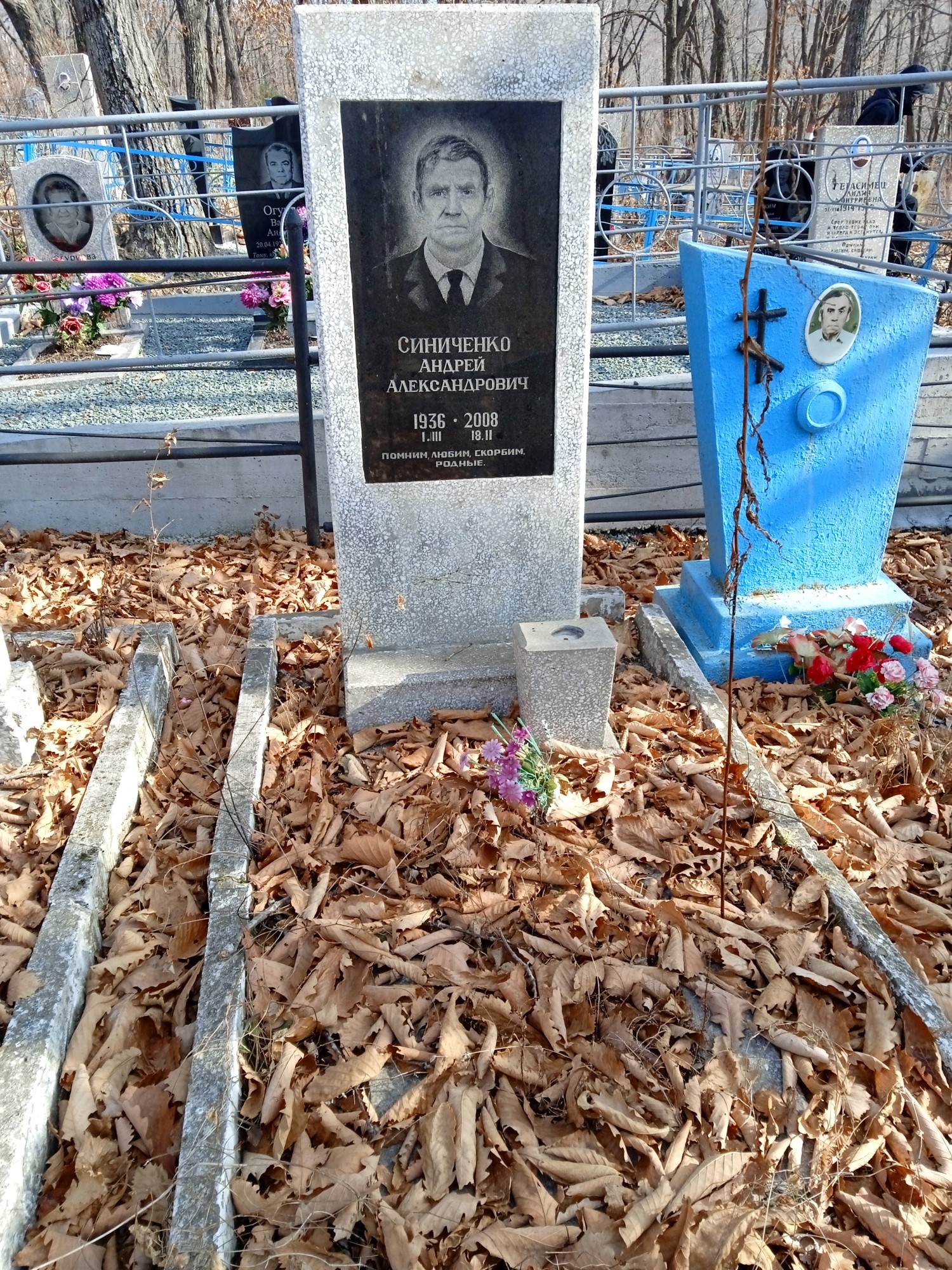 Синиченко Анрей Александрович