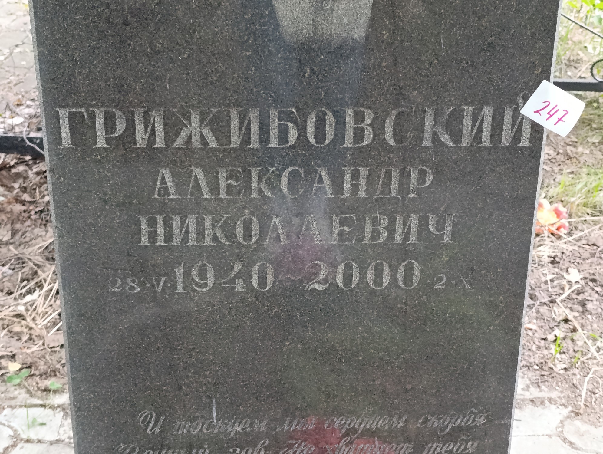 Грижибовский Александр Николаевич
