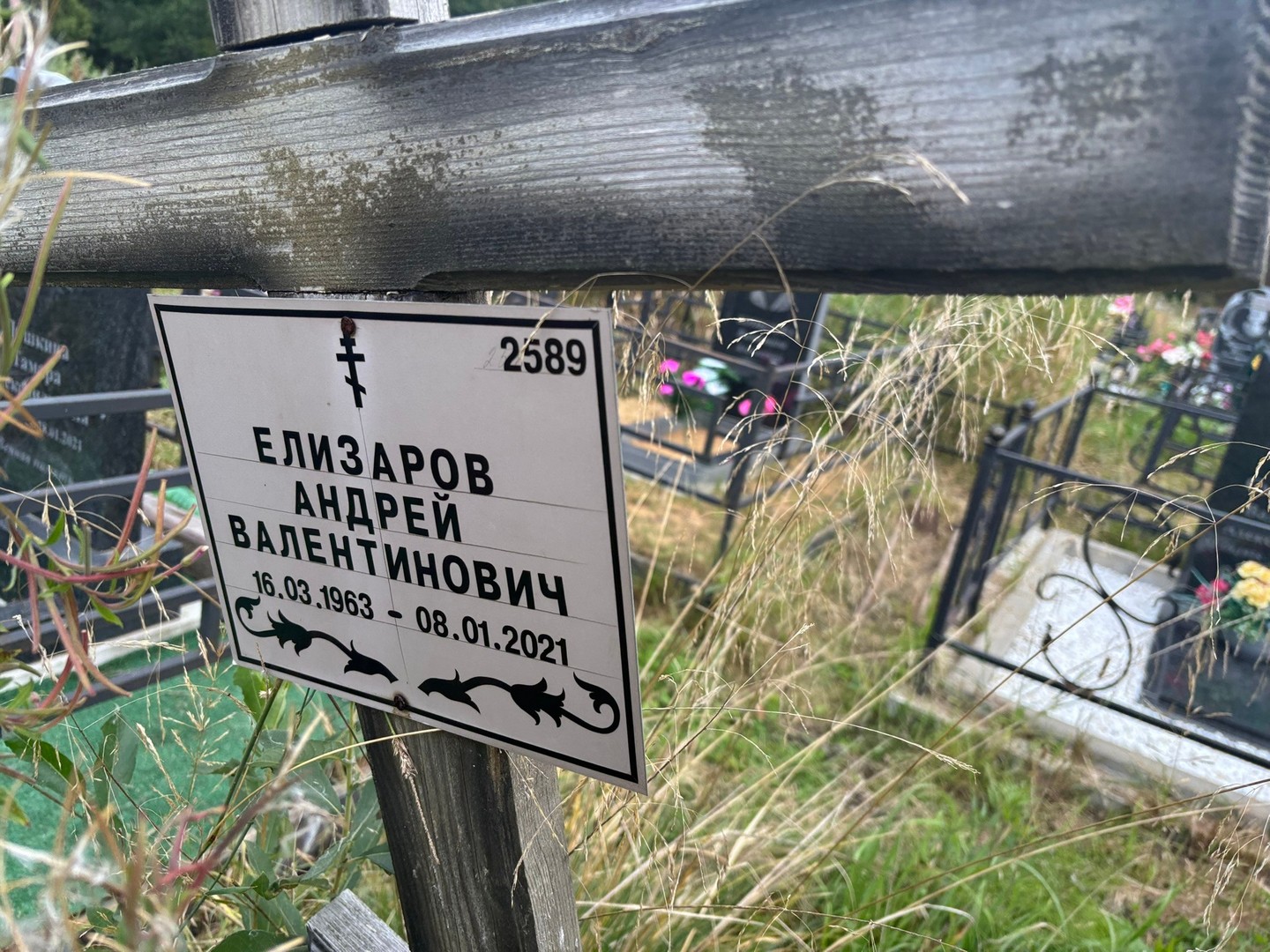 Елизаров