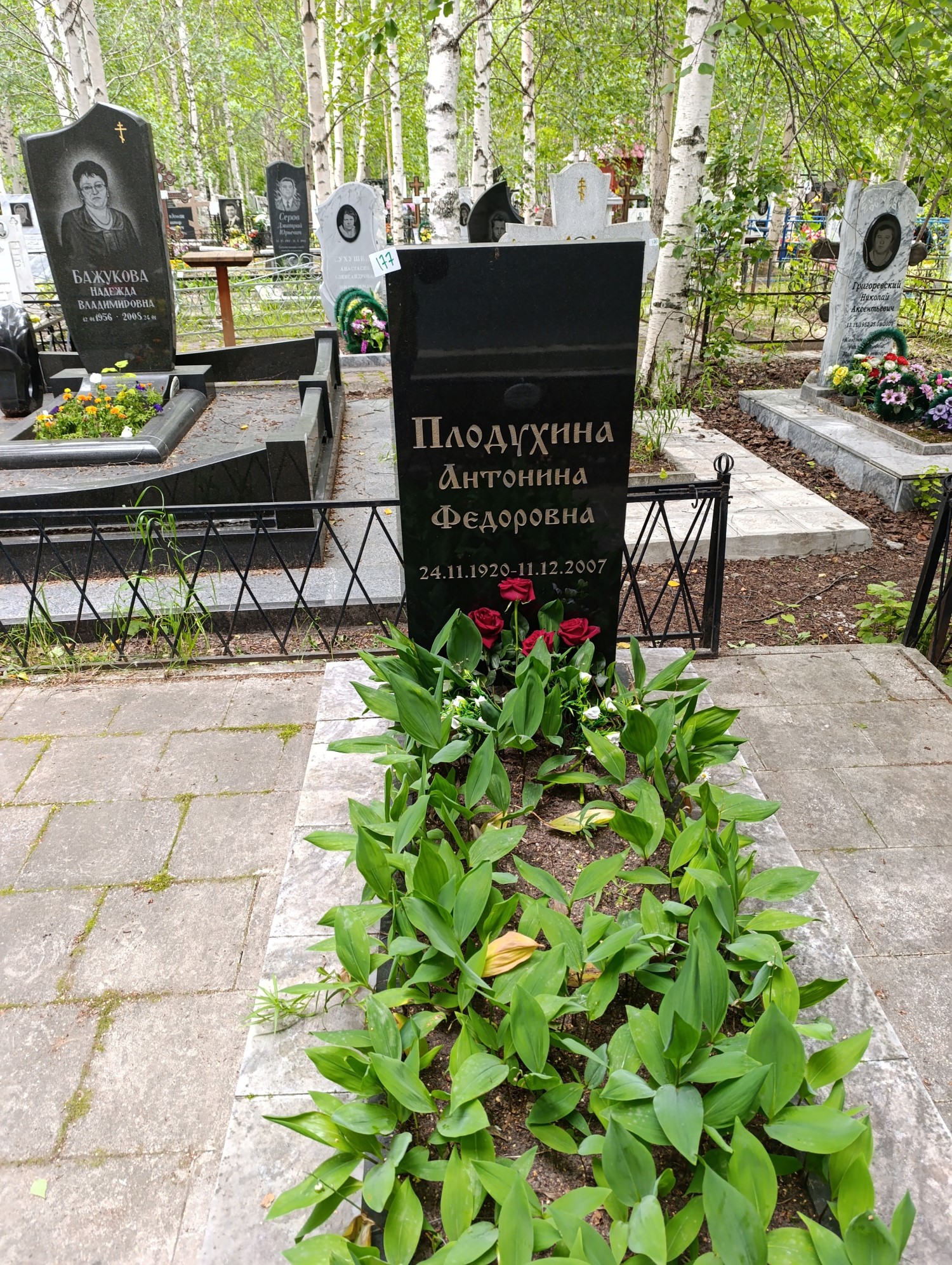 Плодухина Антонина Федоровна
