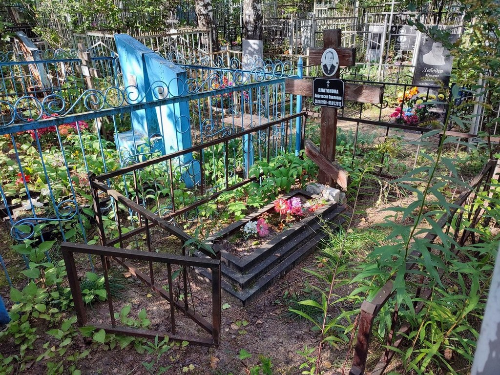Платонова Анастасия Павловна