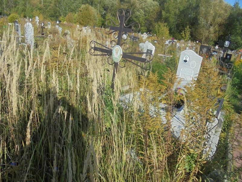 Журавлева Наталья Михайловна