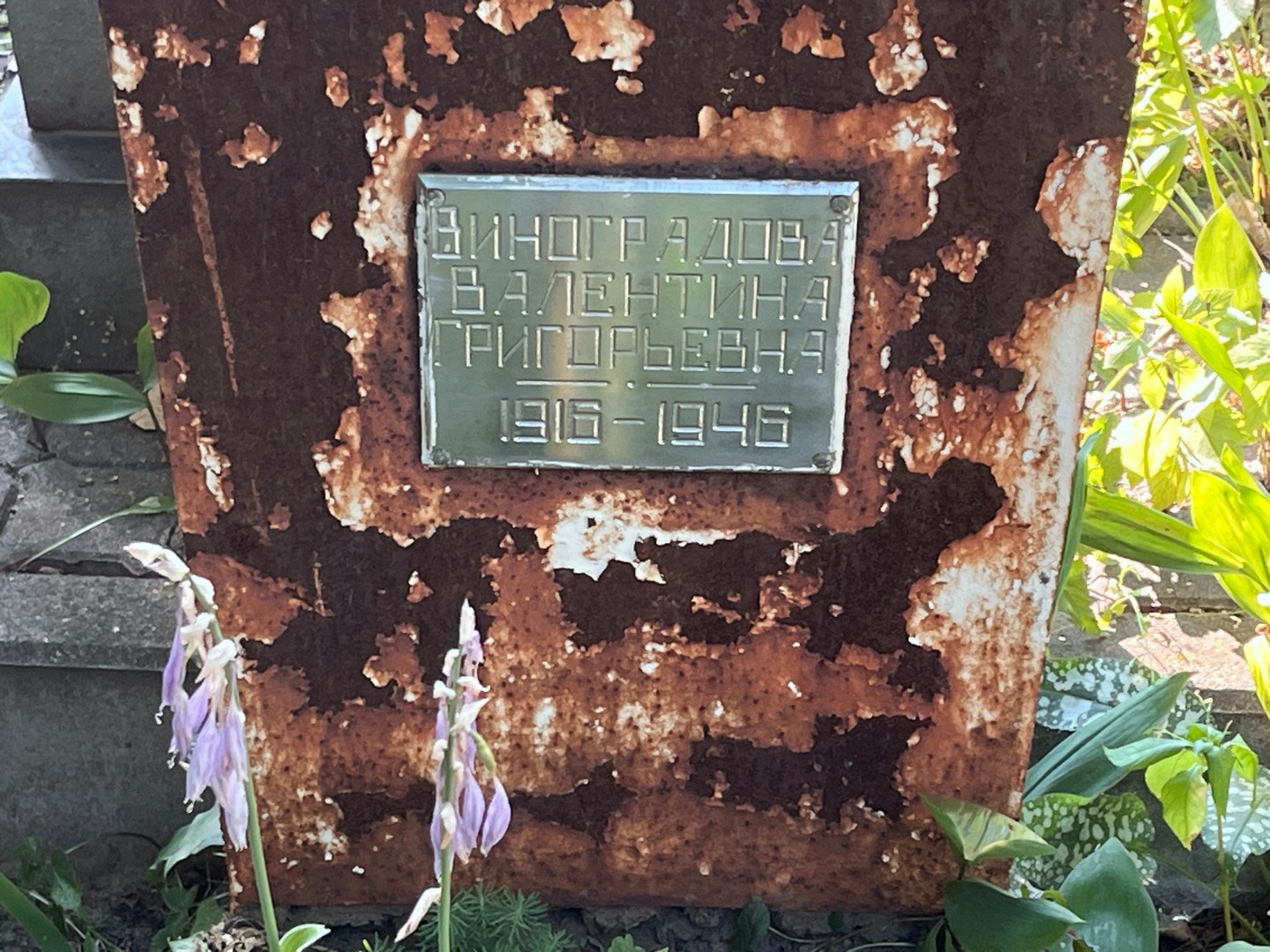 Виноградова