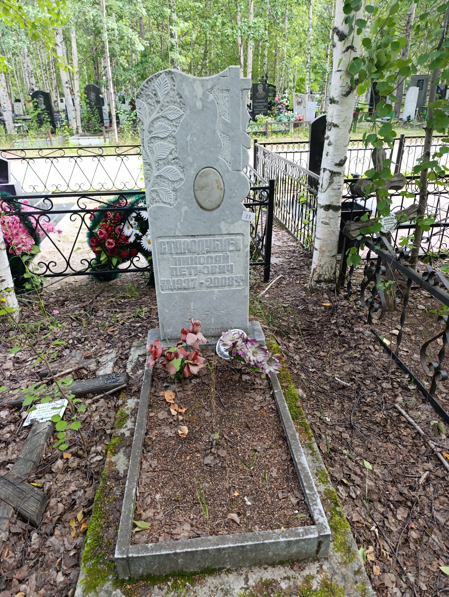 Стародубцев Николай Петрович