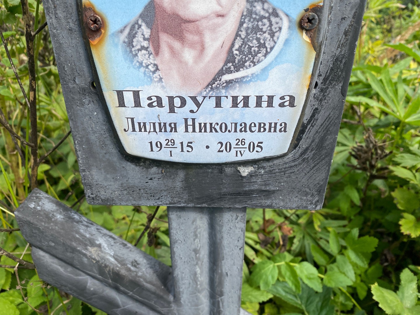 Парутина
