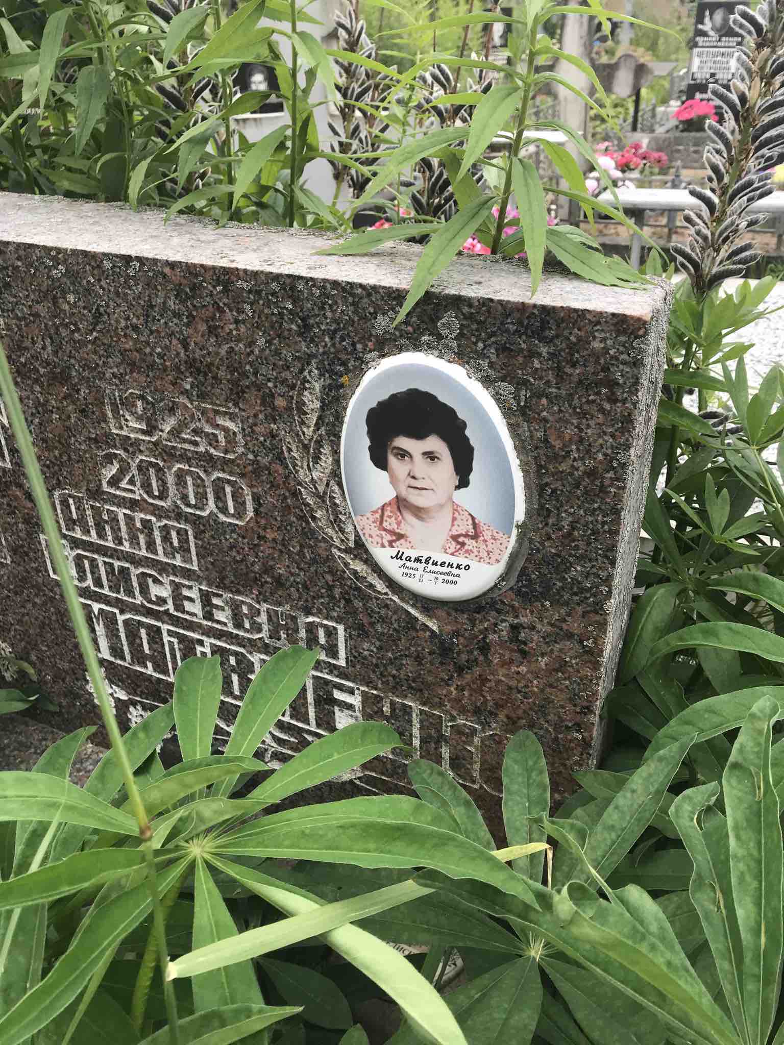 Матвиенко Анна Елисеевна