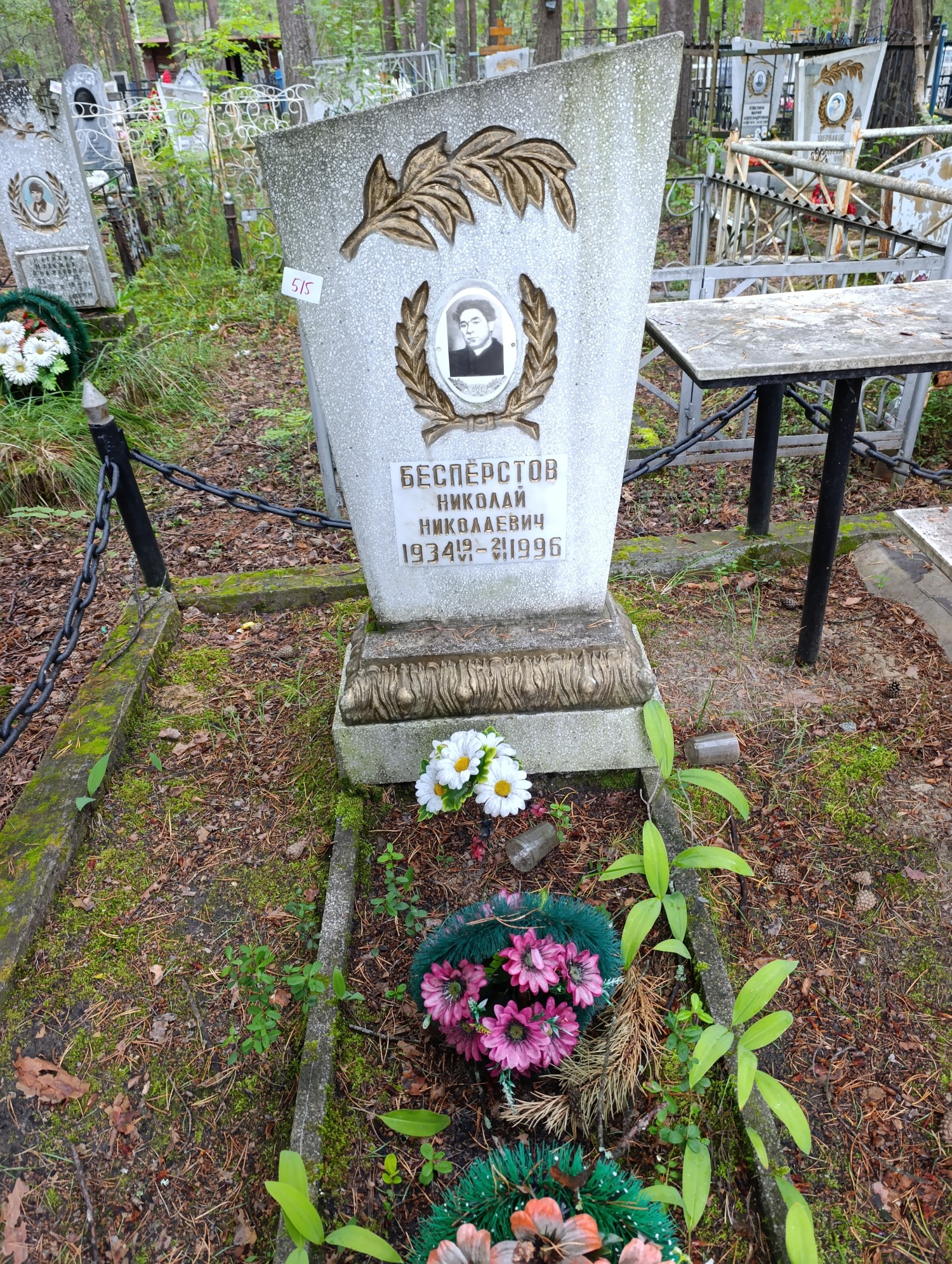 Бесперстов Николай Николаевич