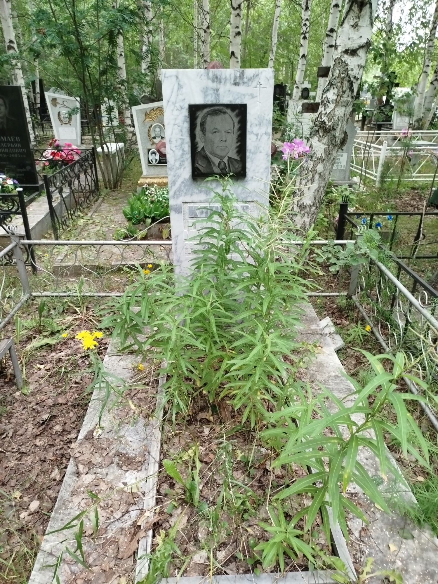 Карпов Григорий Митрофанович