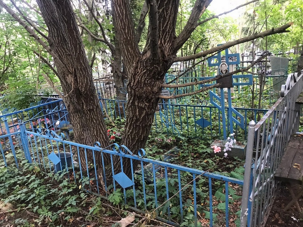 Кувыкина Александра Михайловна
