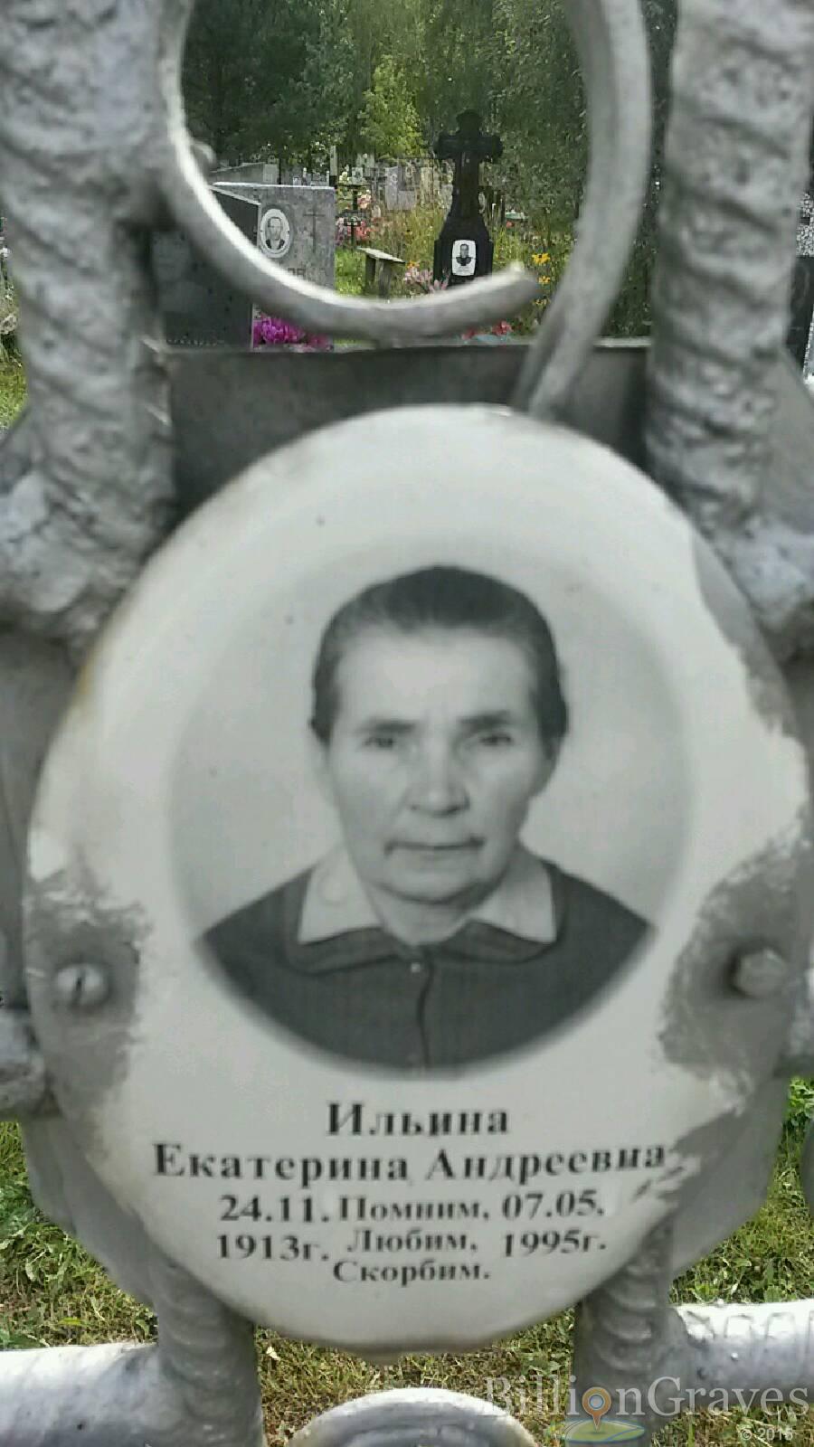 Ильина Екатерина Андреевна