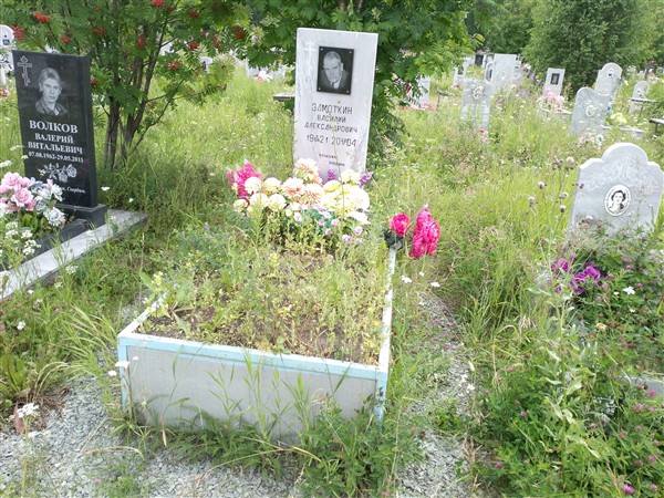 Замоткин Василий Александрович