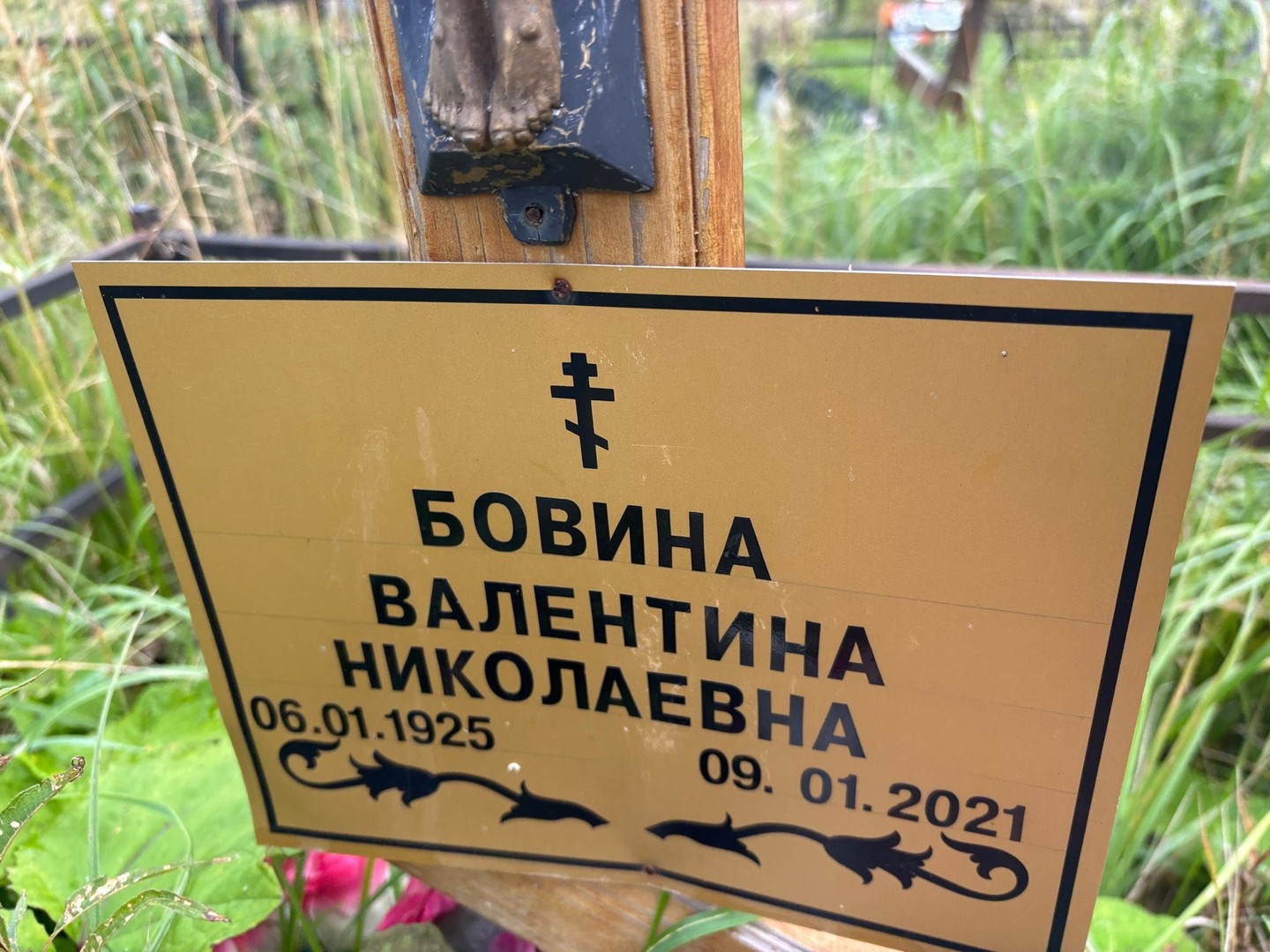 Бовина