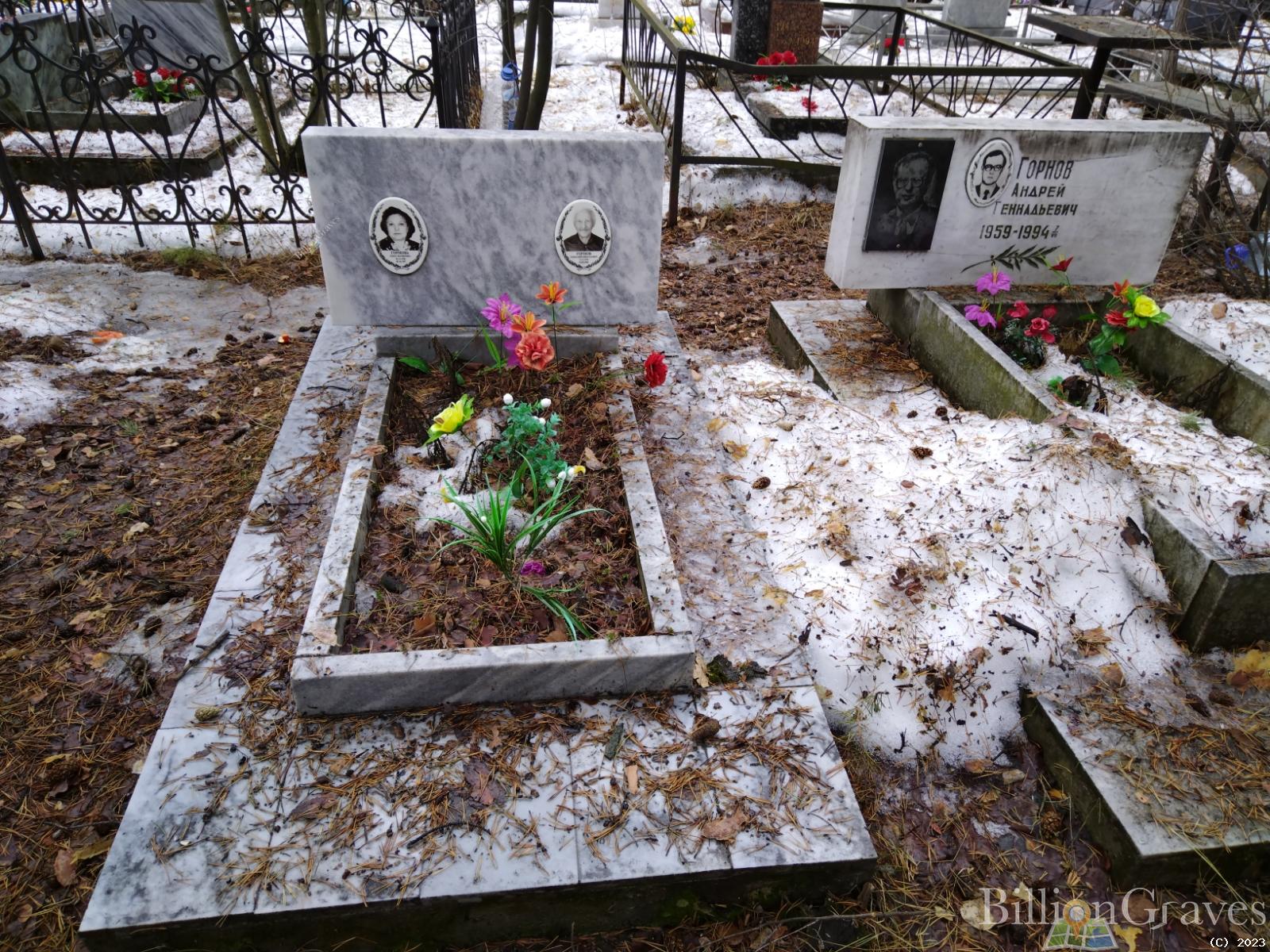 Горнова Раиза Матвеевна