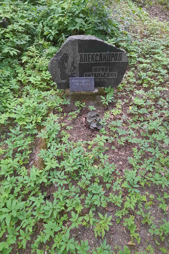 Александров Юрий Витальевич