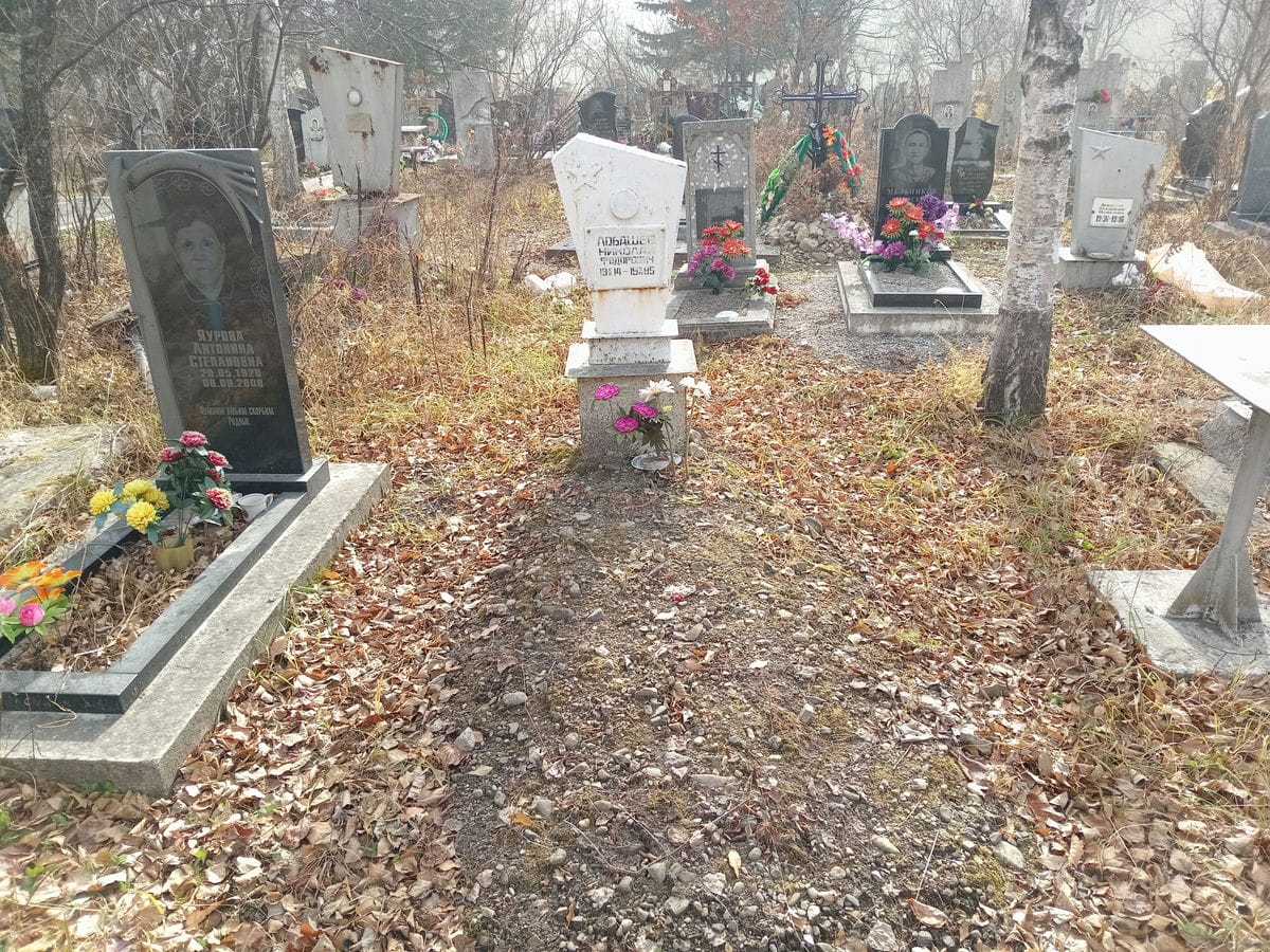 Лобашев Николай Федорович