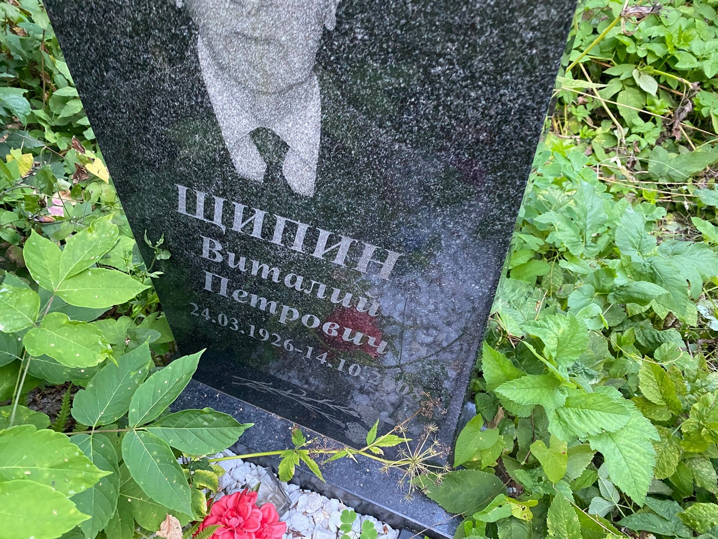 Щипин