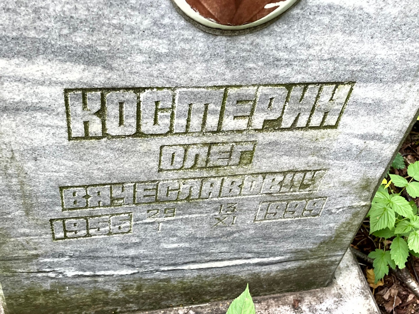 Костерин