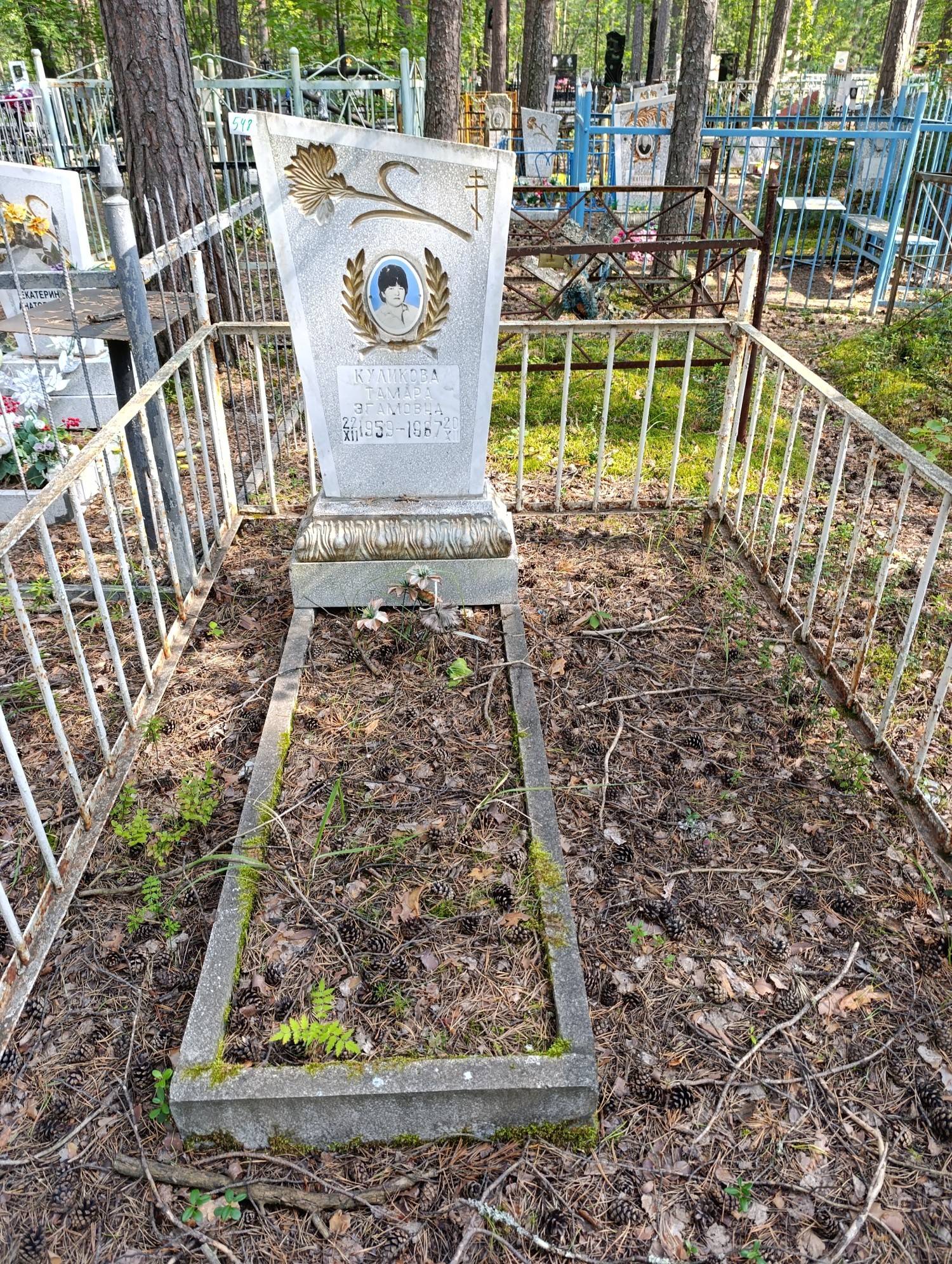 Куликова Тамара Эгамовна