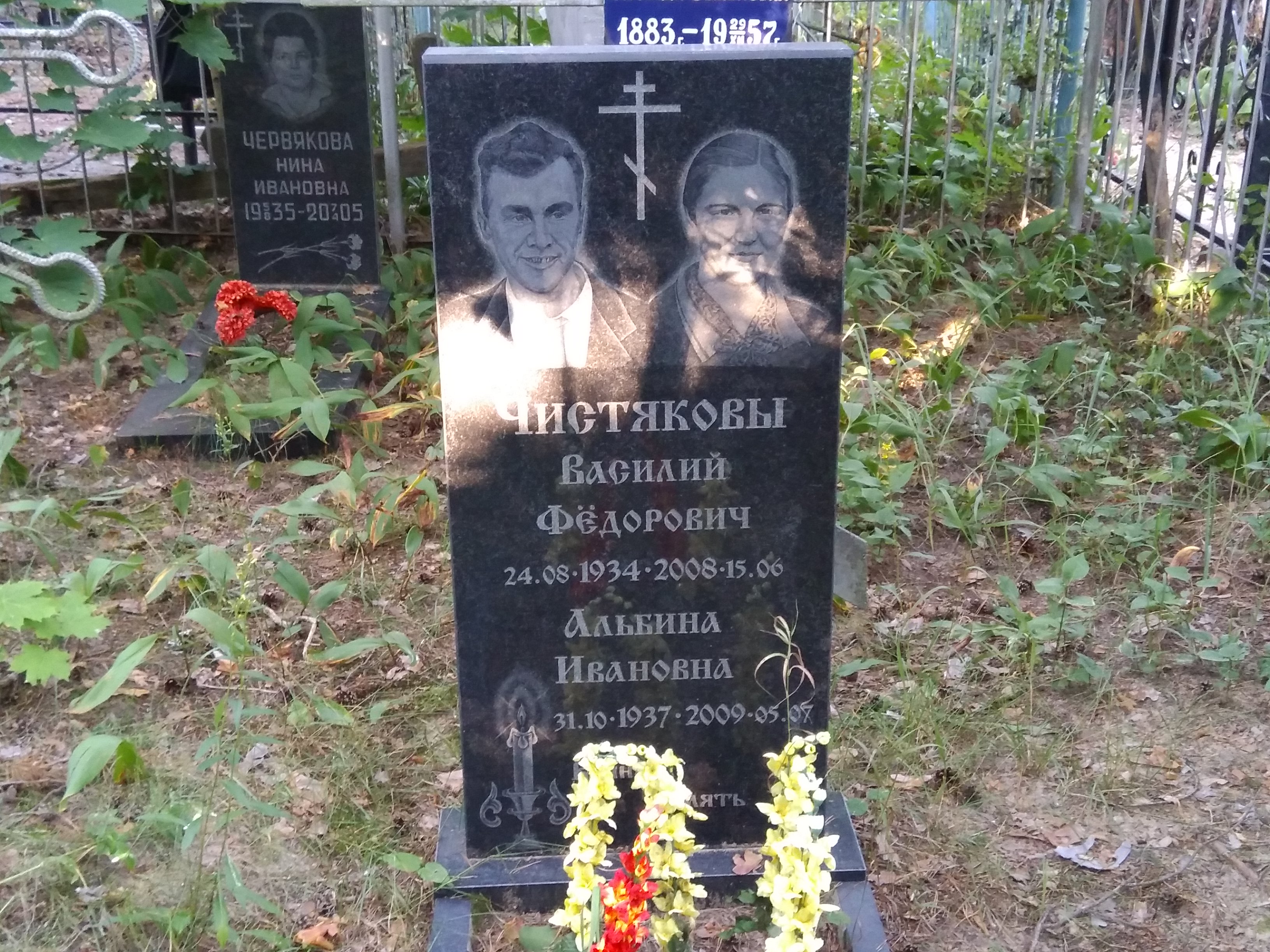 Чистякова Альбина Ивановна