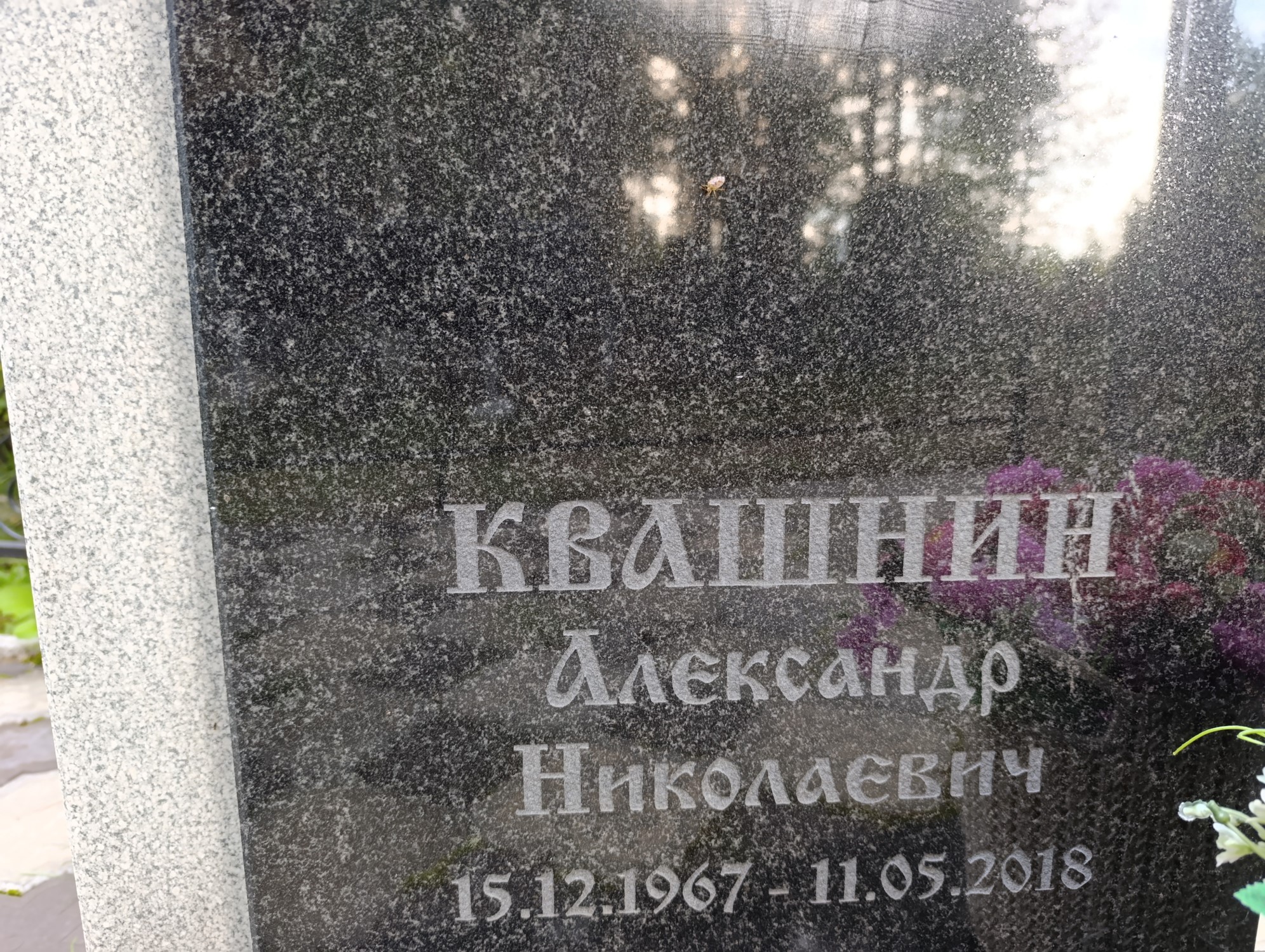 Квашнин Александр Николаевич