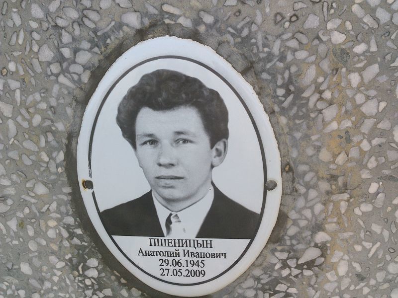 Пшеницын