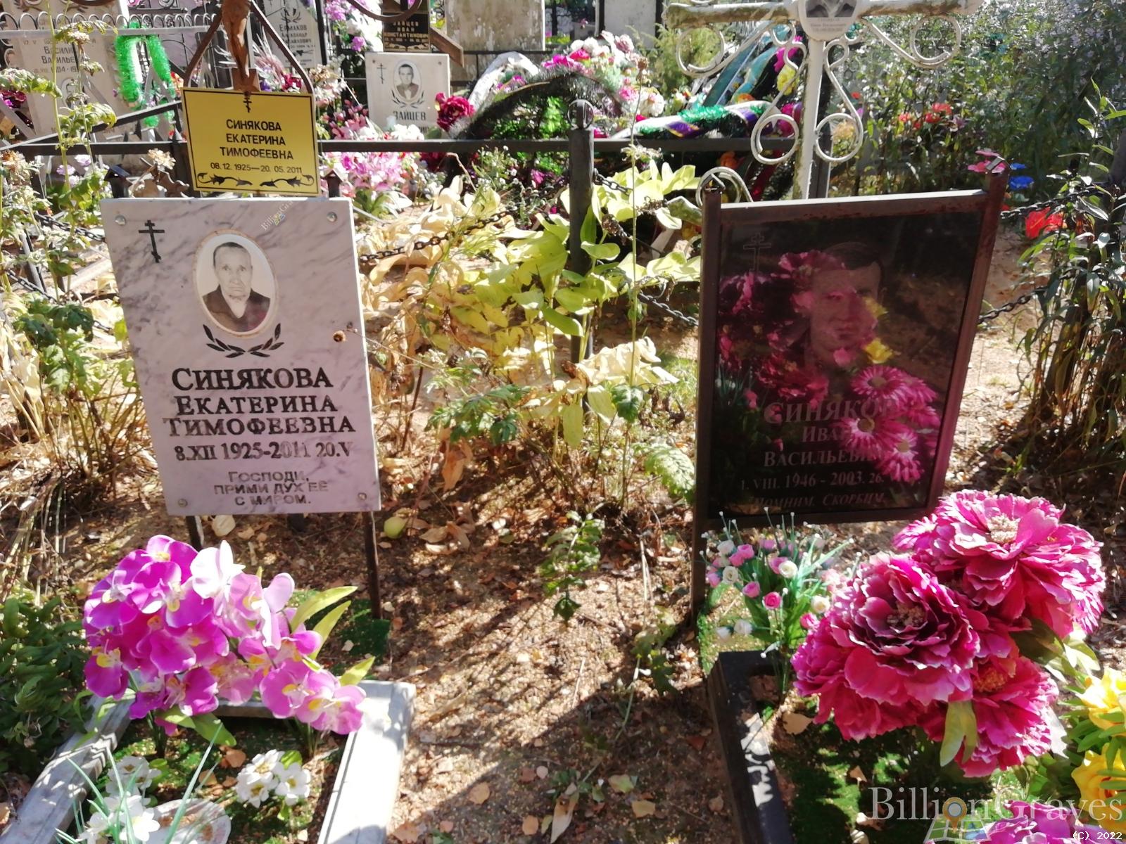 Синякова Екатерина Имофеевна