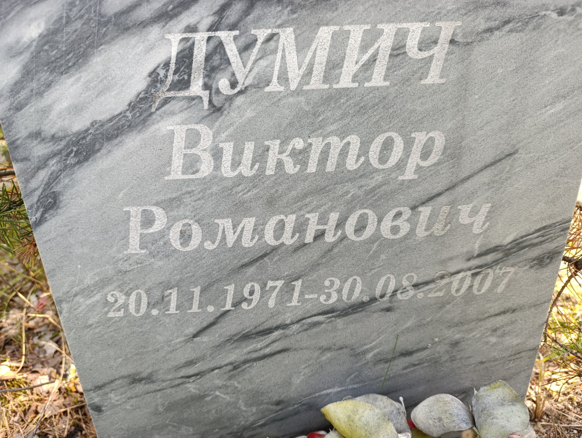 Думич Виктор Романович