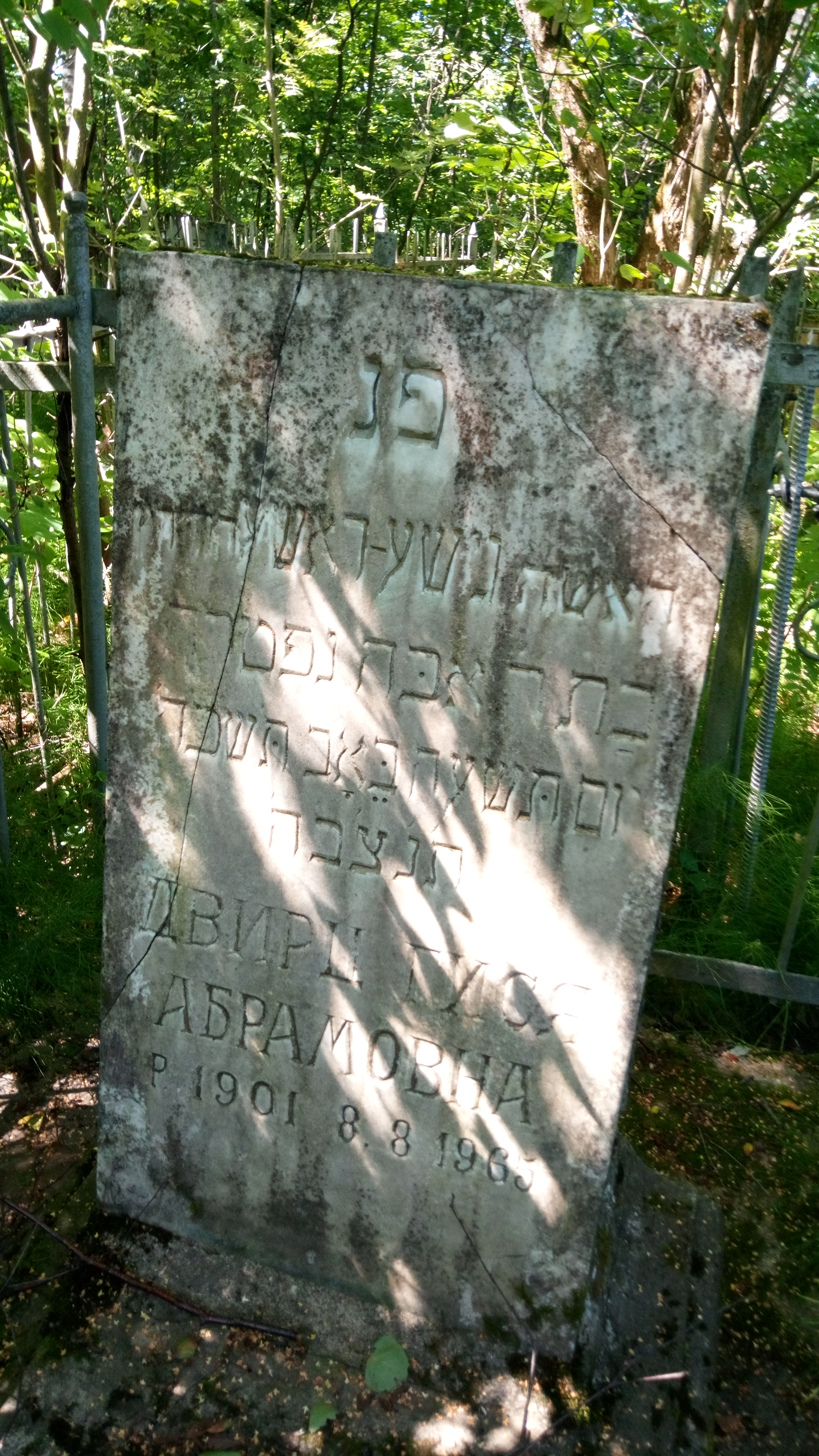 Двирц Гися Абрамовна