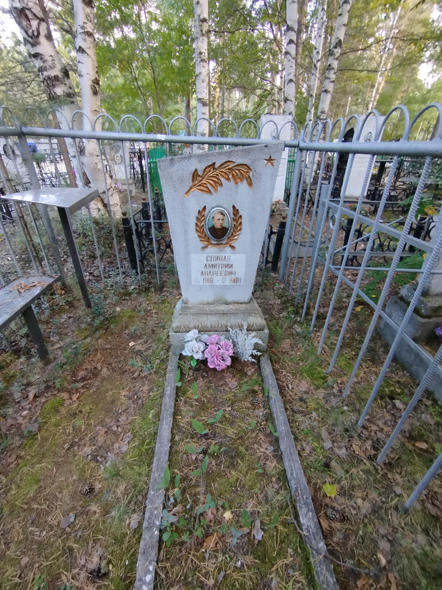 Спичак Дмитрий Андреевич