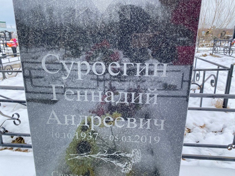 Суроегин