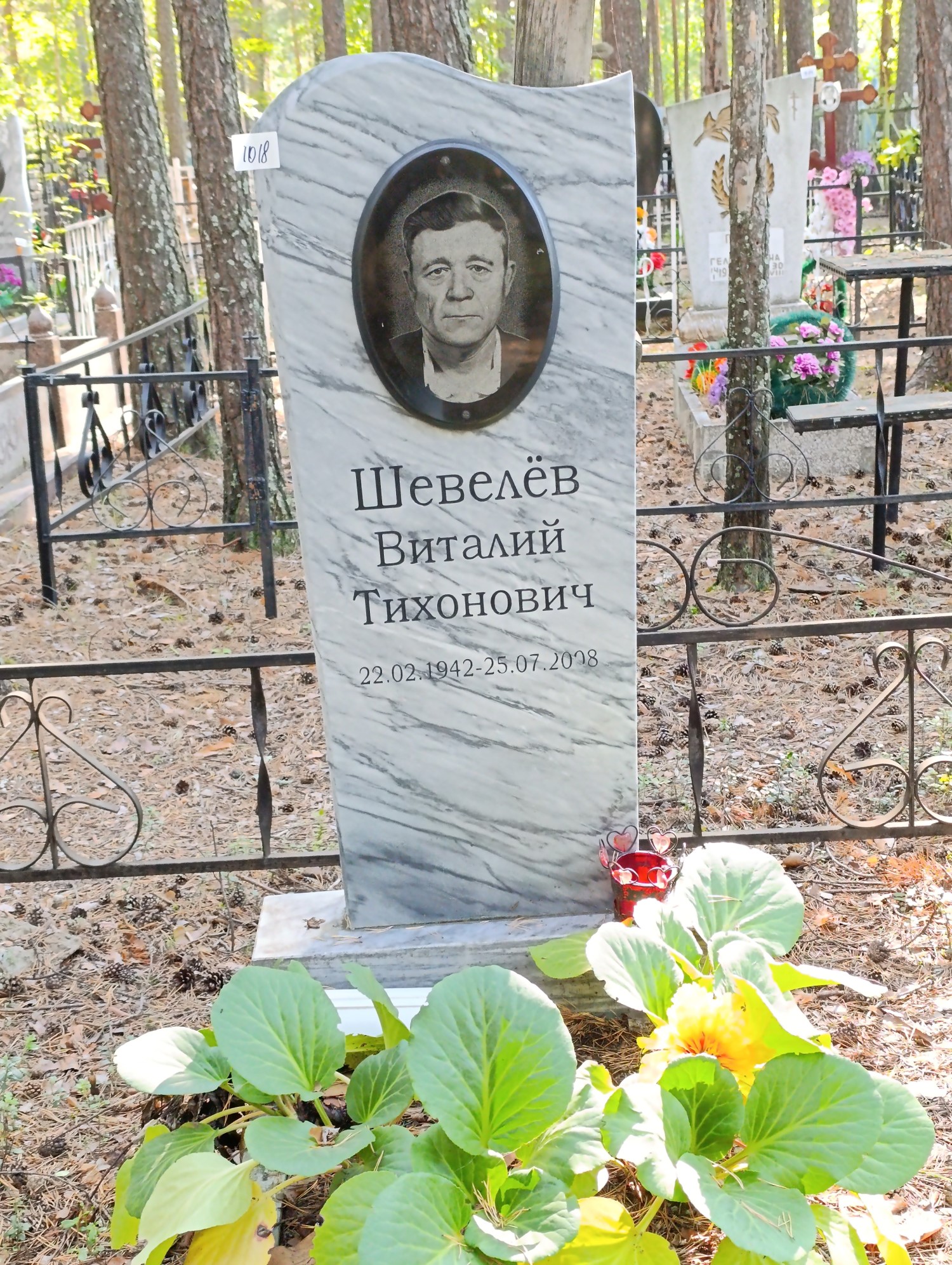 Шевелев Виталий Тихонович