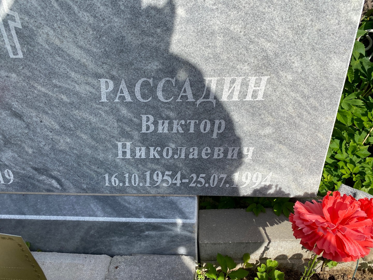 Рассадин