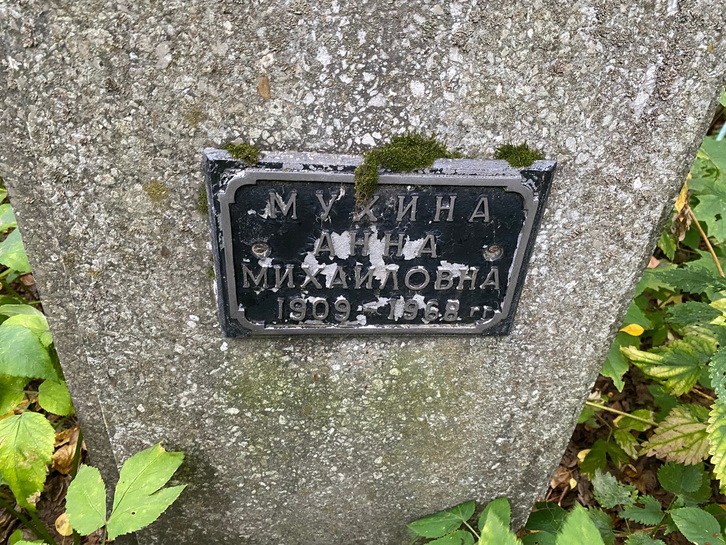 Мухина