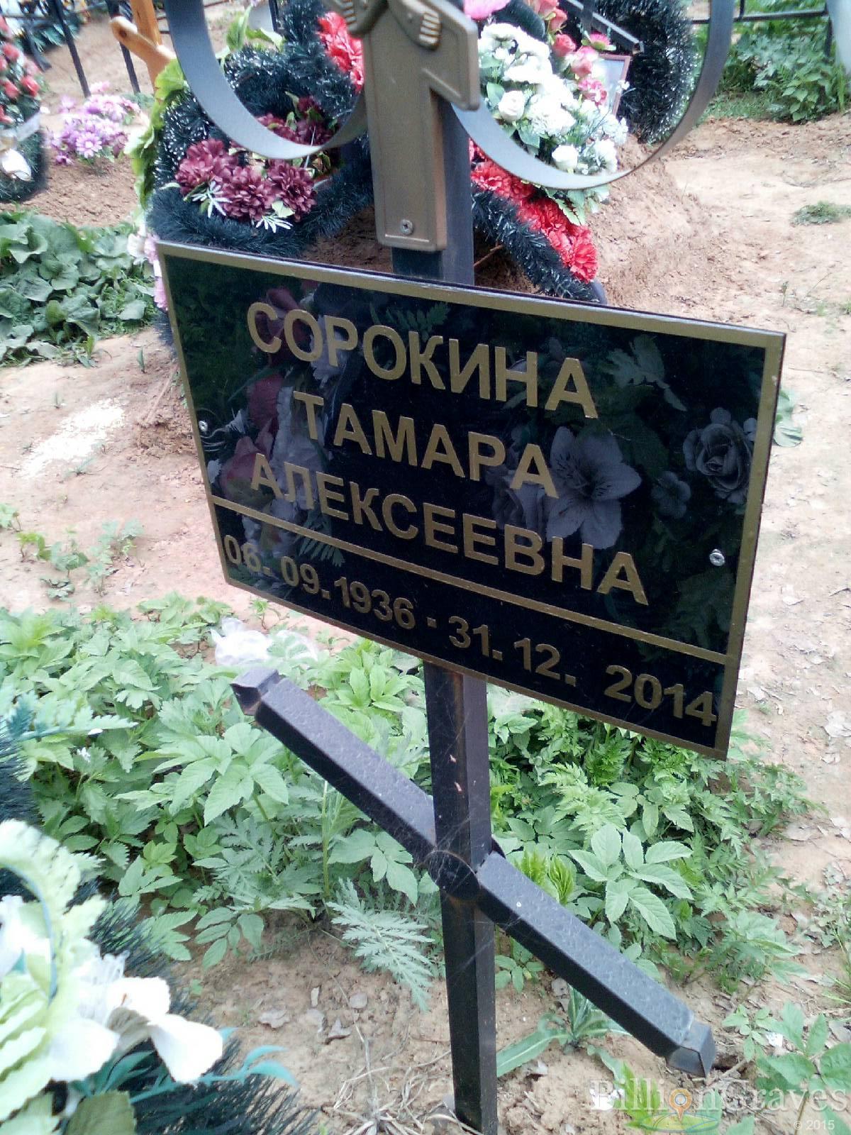 сорокина тамара алексеевна
