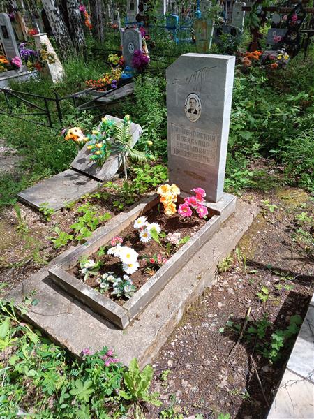 Вайцеховский Александр Вадимович