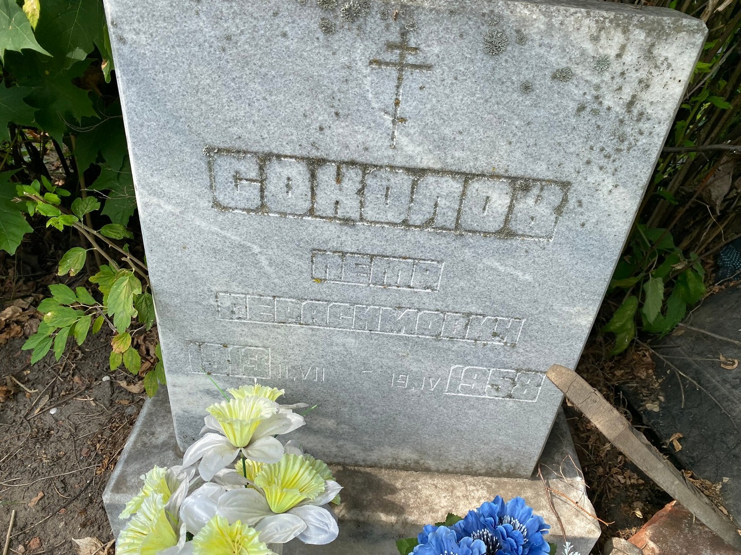 Соколов