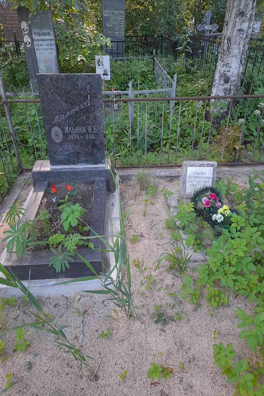 Ильина И. Б.