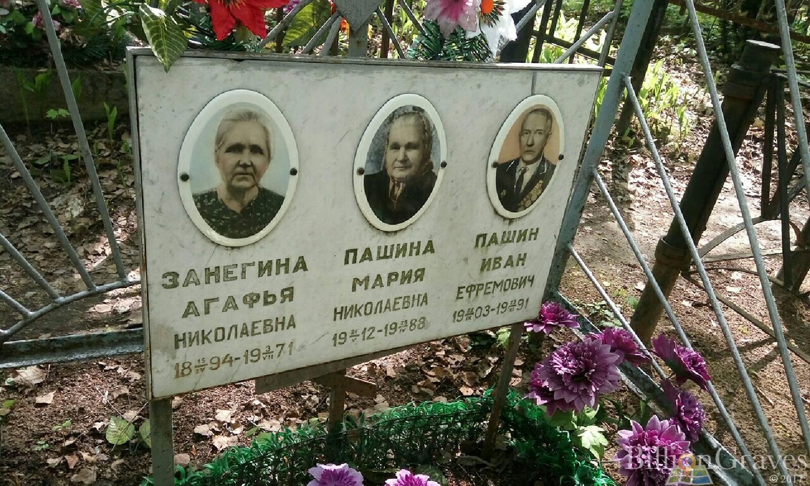Занегина Агафья Николаевна