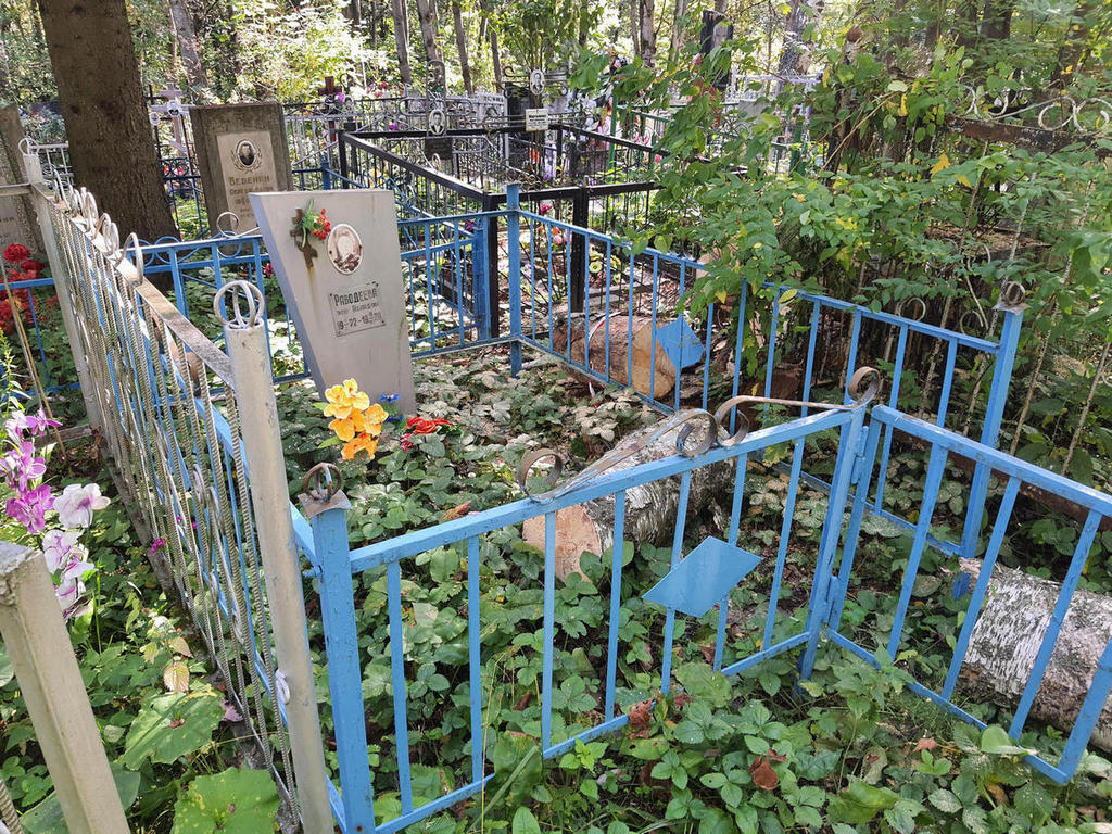 Раводеева Таисия Александровна