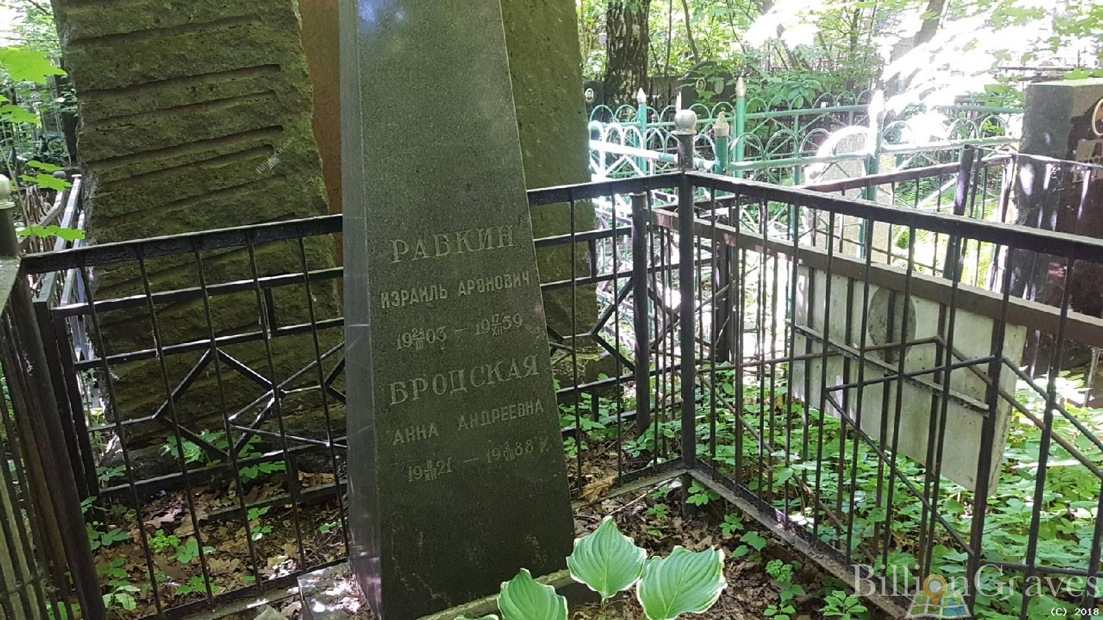 Бродская Анна Андреевна