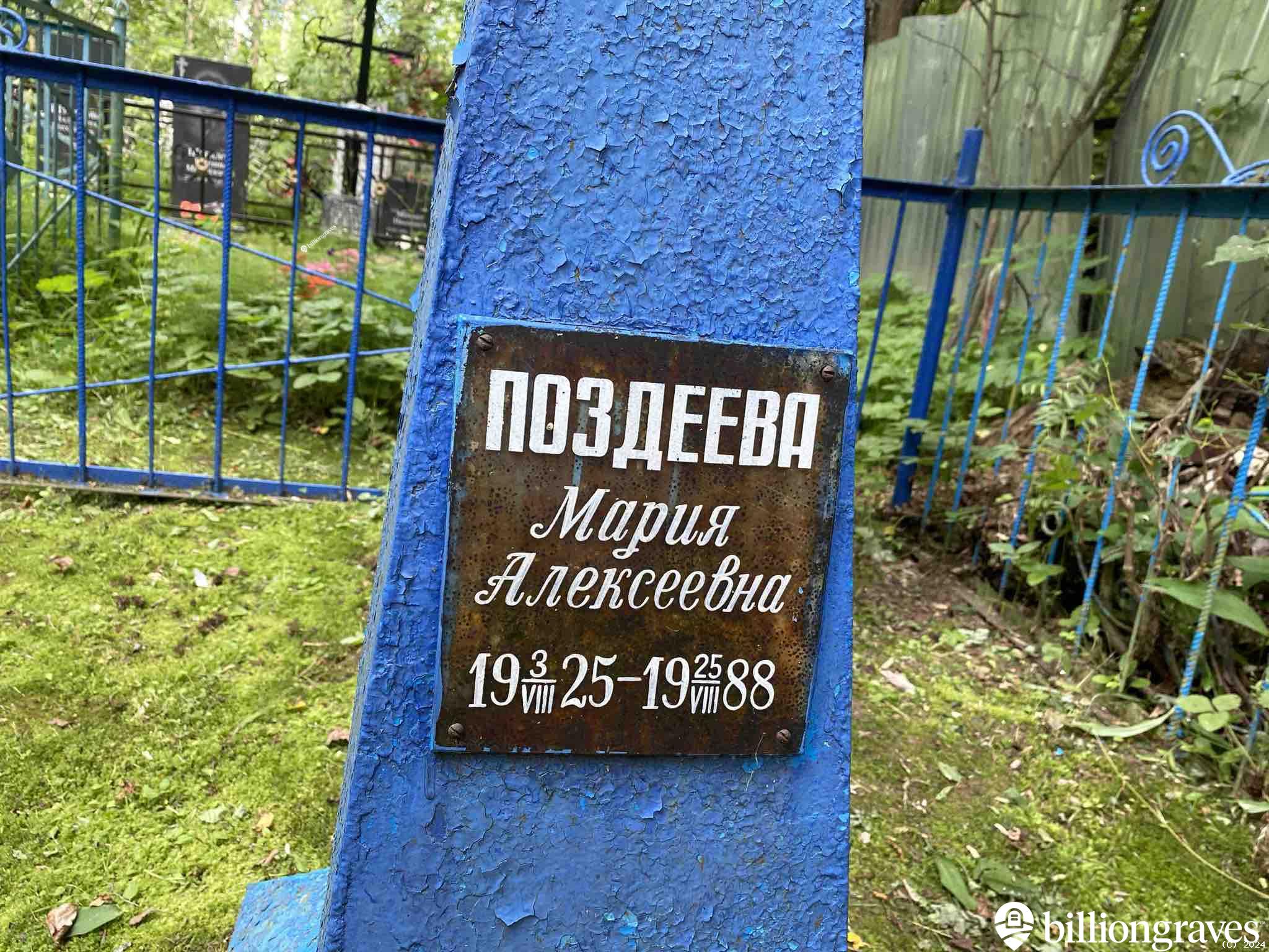 Поздеева Мария Алексеевна