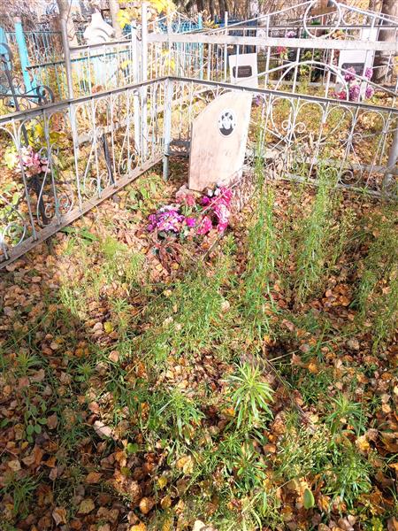 Коломец Ирина Станиславна