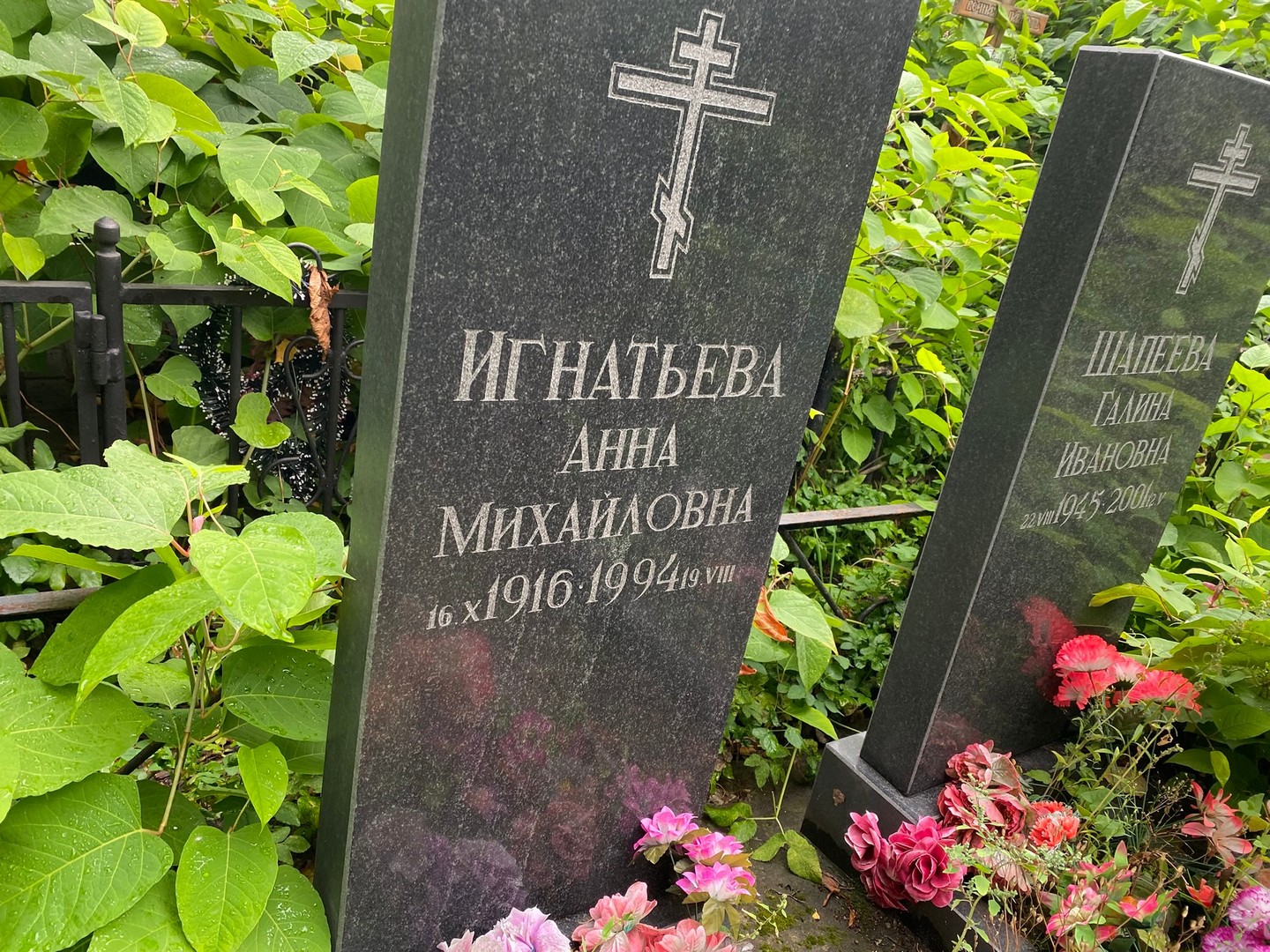 Игнатьева