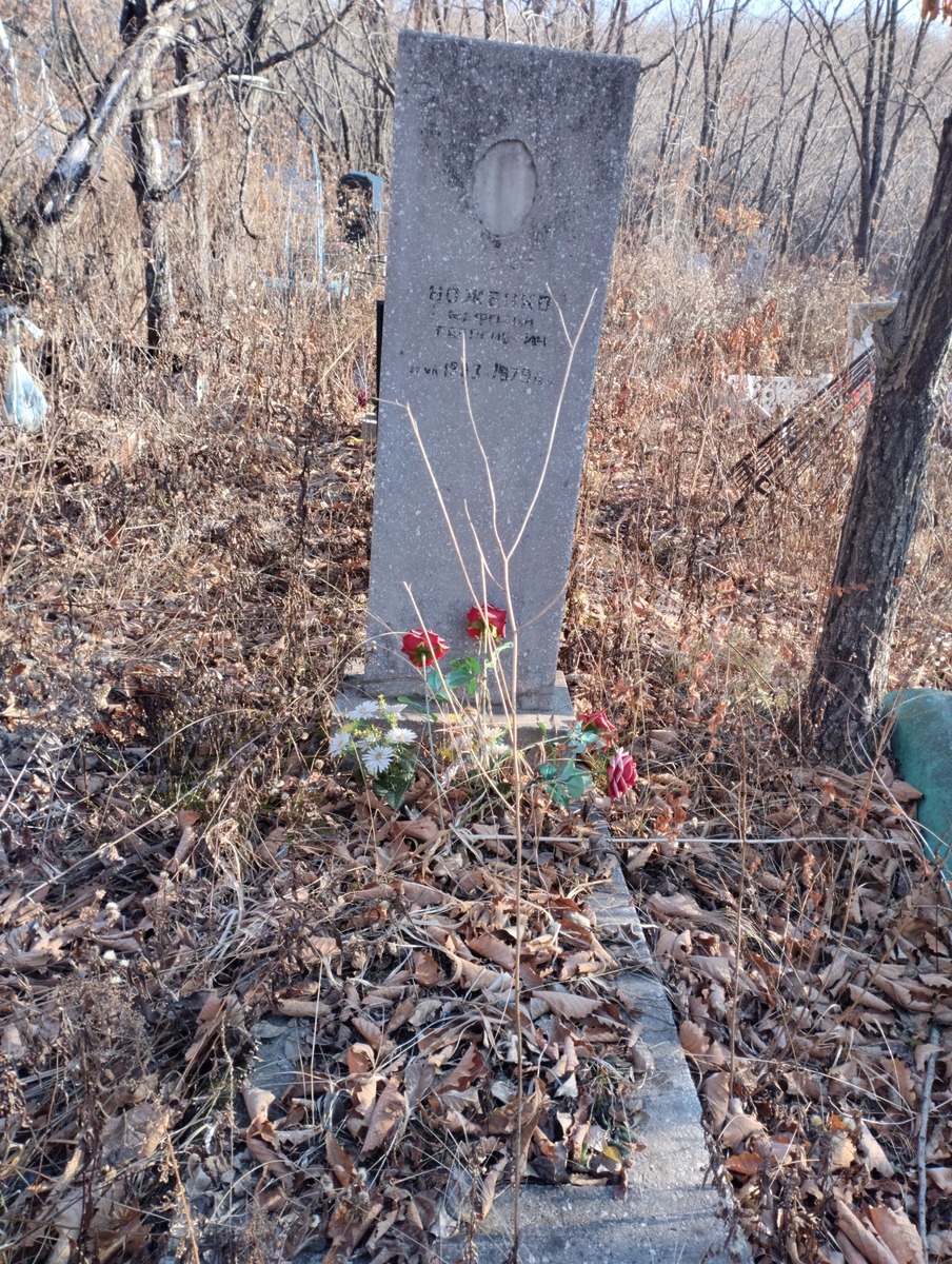 Ноженко Мафодий Георгиевич