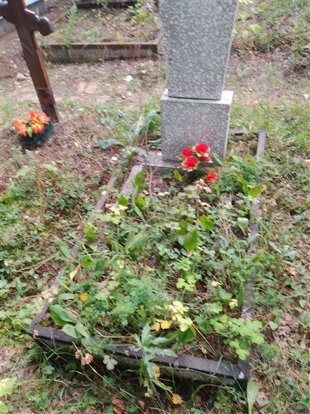 Стахов Александр Викторович