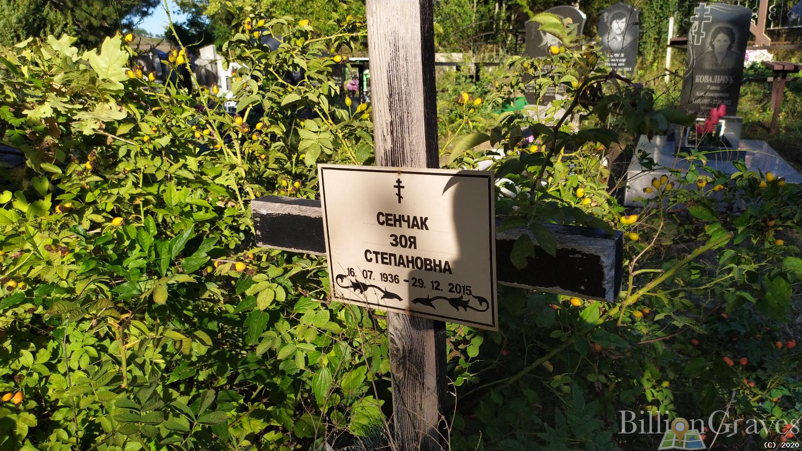 Сенчак Зоя Степановна