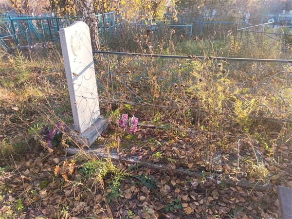 Болков Владимир Юрьевич