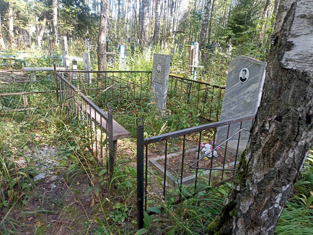 Бибиков Николай Степанович